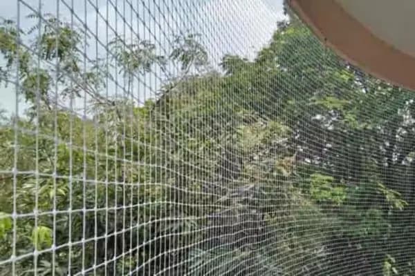 Bird Management Solutions