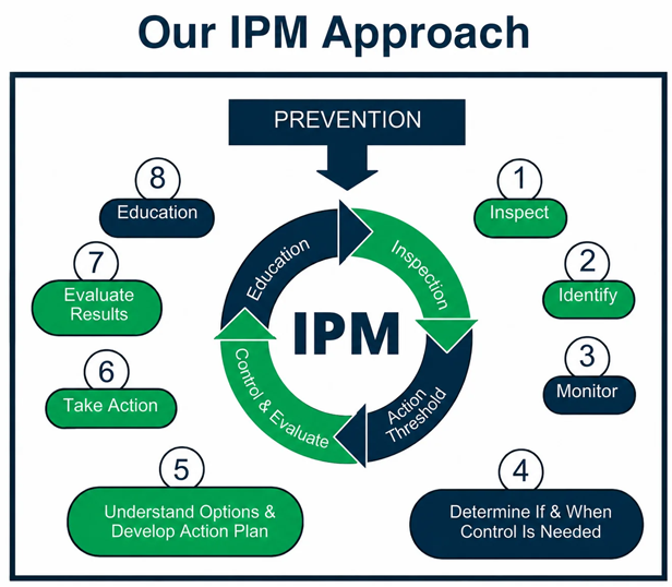 Our IPM Approach